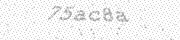 captcha text